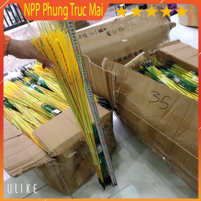 Kèm phích cắm Led Bông Lúa, Trang Trí Tết, Tài, Bàn Thờ Gia Tiên - Đại Diện Cho Sự Âm Lo,Đủ Đầy,Sung Túc Cả Năm 2022