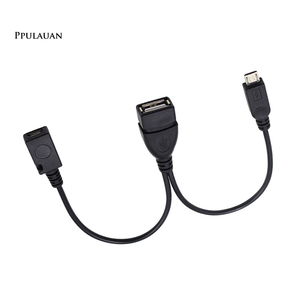 PPLA USB Port Adapter OTG Cable Cord for Media Streaming Device Phone Game Console