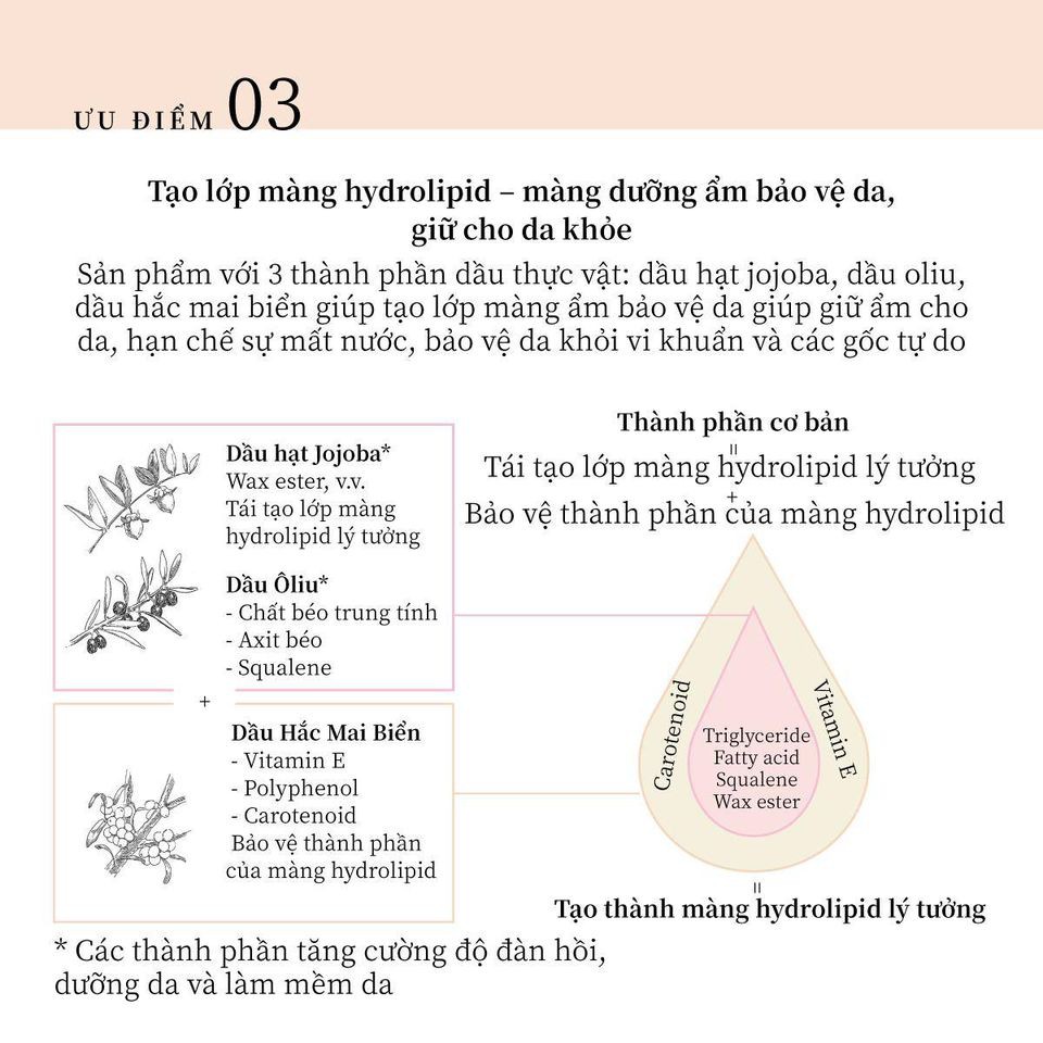 Kem lót Naturaglacé dưỡng ẩm, cấp nước, chuẩn hữu cơ Nhật Bản, an toàn cho mẹ bầu và da nhạy cảm, 25ml