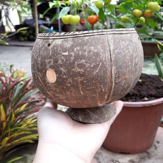 Chậu không hoa văn SIZE LỚN