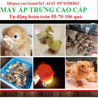 Máy ấp trứng  36 quả(full hộp xốp)