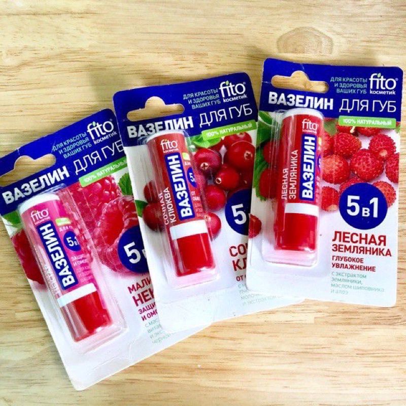 Son dưỡng vaseline 5 in 1 của Nga 4,5g