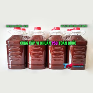 Vi khuẩn quang hợp PSB tốt cho nuôi tôm cá