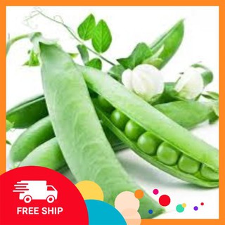 10gr hạt giống đậu hà lan LUCKYVN