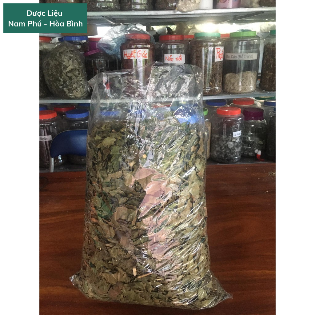 1Kg Lá Vọng Cách Hòa Bình giá SỈ xanh sạch thơm