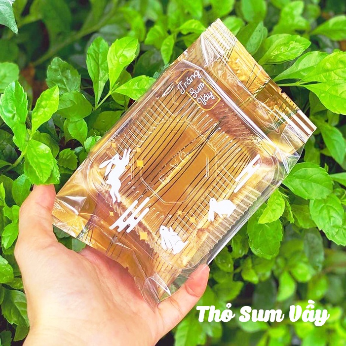 Khay Túi Trung Thu 150-350g đựng bánh  - Túi hàn đựng bánh