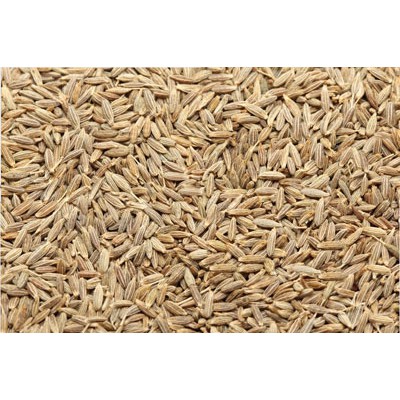 Hạt Thì Là Ai Cập Ông Chà Và 110g