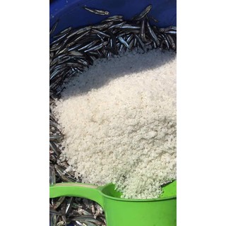 Nước mắm cá cơm nhà làm