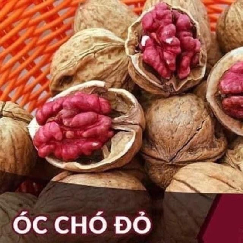 Óc Chó Đỏ - Tặng kèm kìm tách vỏ khi mua 1kg