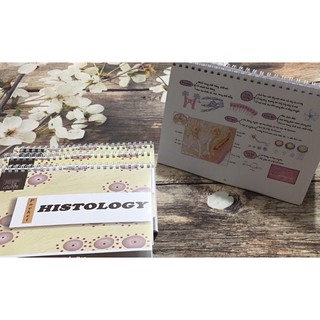Pocket Mô học// Pocket Histology