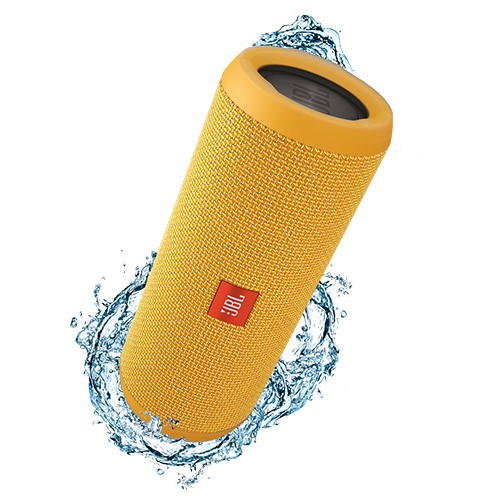 Loa FLIP III