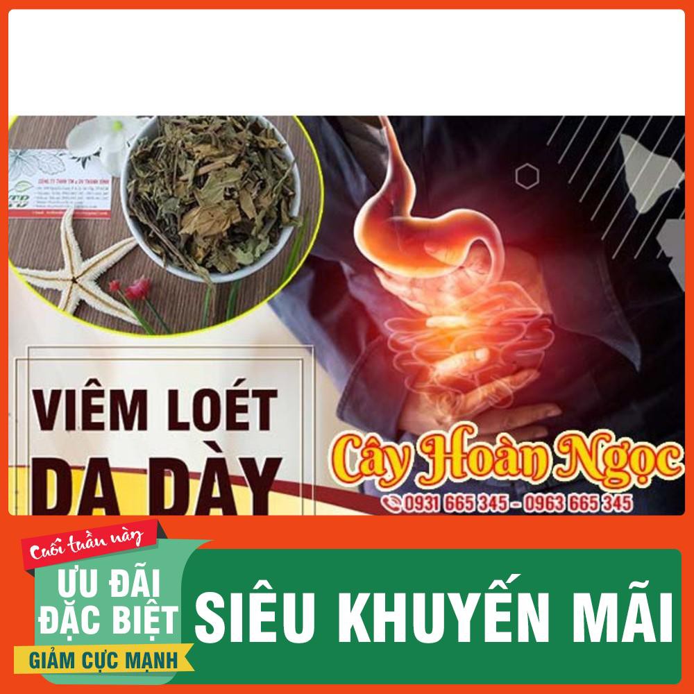 Cây Hoàn Ngọc Khô 1Kg Loại Cao Cấp - Thảo Dược Thanh Bình