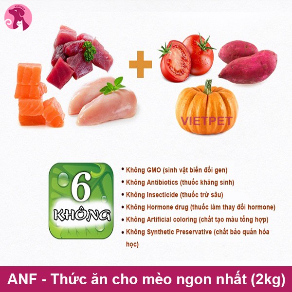 [Mã PET50 giảm 10% - tối đa 50K đơn 250K] [2kg] Thức ăn cho mèo - Hạt hữu cơ ANF Adult/ Kitten 6Free (NK Hàn Quốc)