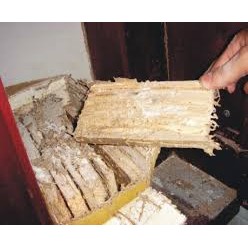 Bộ diệt mối tận gốcSinh học