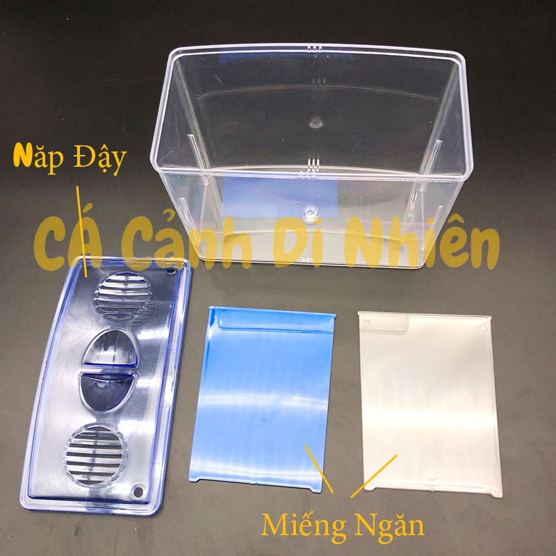 Bể nhựa nuôi cá Betta mini 2 in 1, hồ cá để bàn size 18x14x10 cm