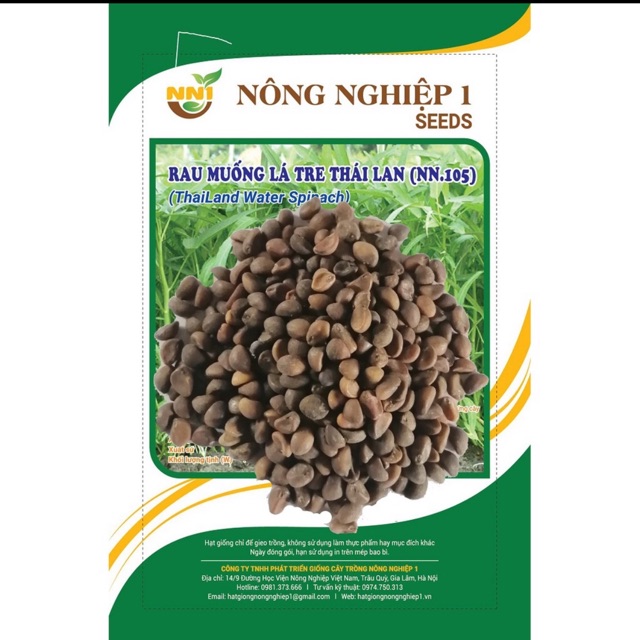 Hạt giống muống lá tre Thái Lan- gói 50gr