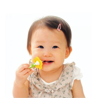 Bàn Chải Bước 2 Richell RC98175 (trên 8 tháng)