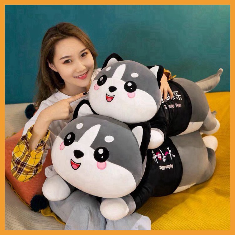 Gấu bông mèo cute giá rẻ husky gối ôm ngủ cho người lớn size to