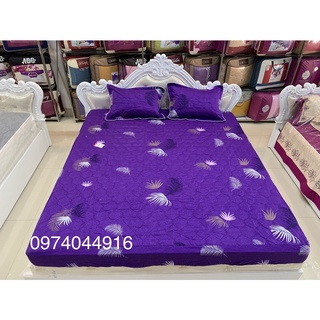 Bộ ga chun Sông Hồng chính hãng 100% cotton m6 x 2m
