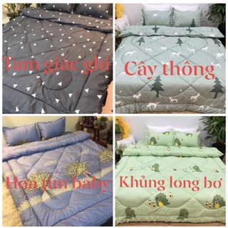 Combo ga giường đủ bộ 5 món chăn phao