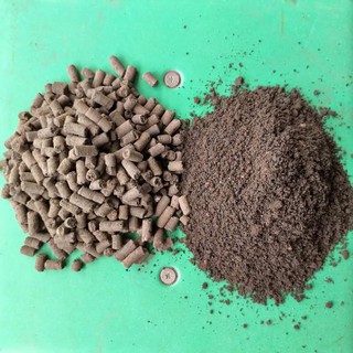 Phân trùn quế Đặng Gia Trang 10kg