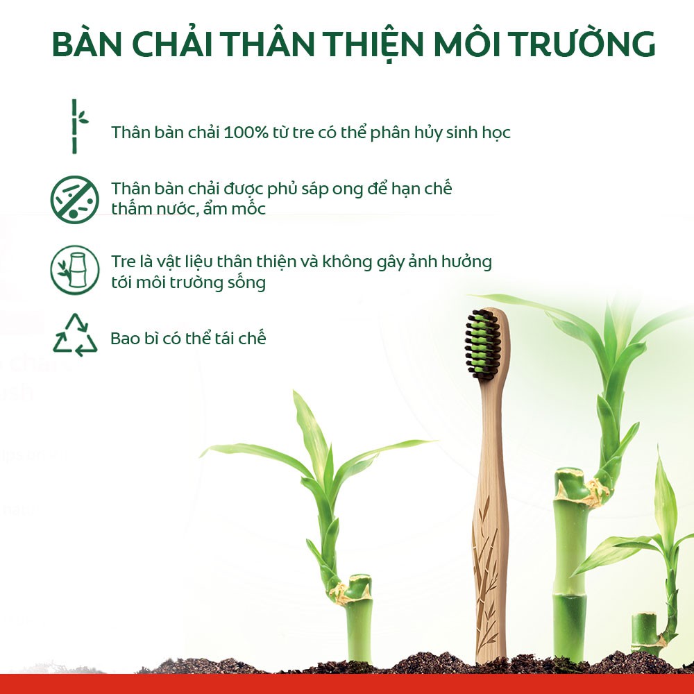 Bàn Chải Đánh Răng Colgate Soft Bamboo Charcoal Than Tre Hoạt Tính