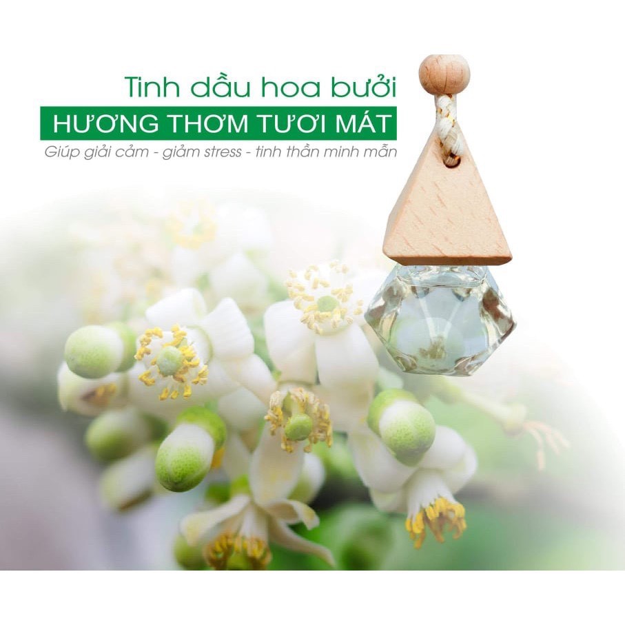 Tinh dầu treo xe Quế+ sả chanh + cà phê + bạc hà ... (12 mùi )