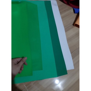 Xốp bitis cân kí