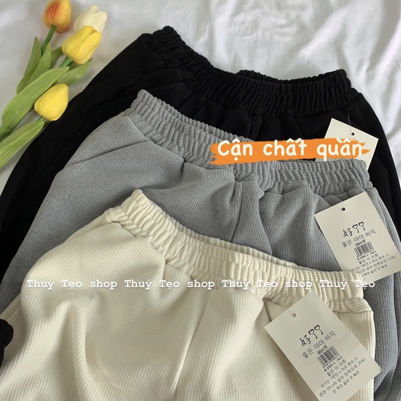 [ Hàng sẵn ] QUẦN JOGGER NỈ GÂN BO GẤU ỐNG RỘNG CẠP CHUN CO GIÃN