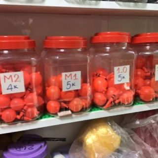 Phao câu cá các loại M5 -M1