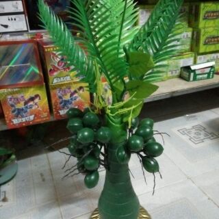 Combo 8 cây cau nhựa kiểng