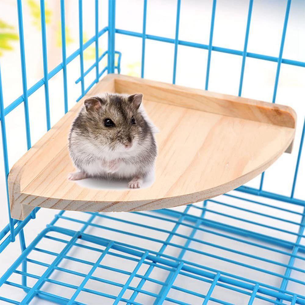 JARRED Bệ Đứng Bằng Gỗ Cho Chim Vẹt / Chuột Hamster Cỡ Nhỏ