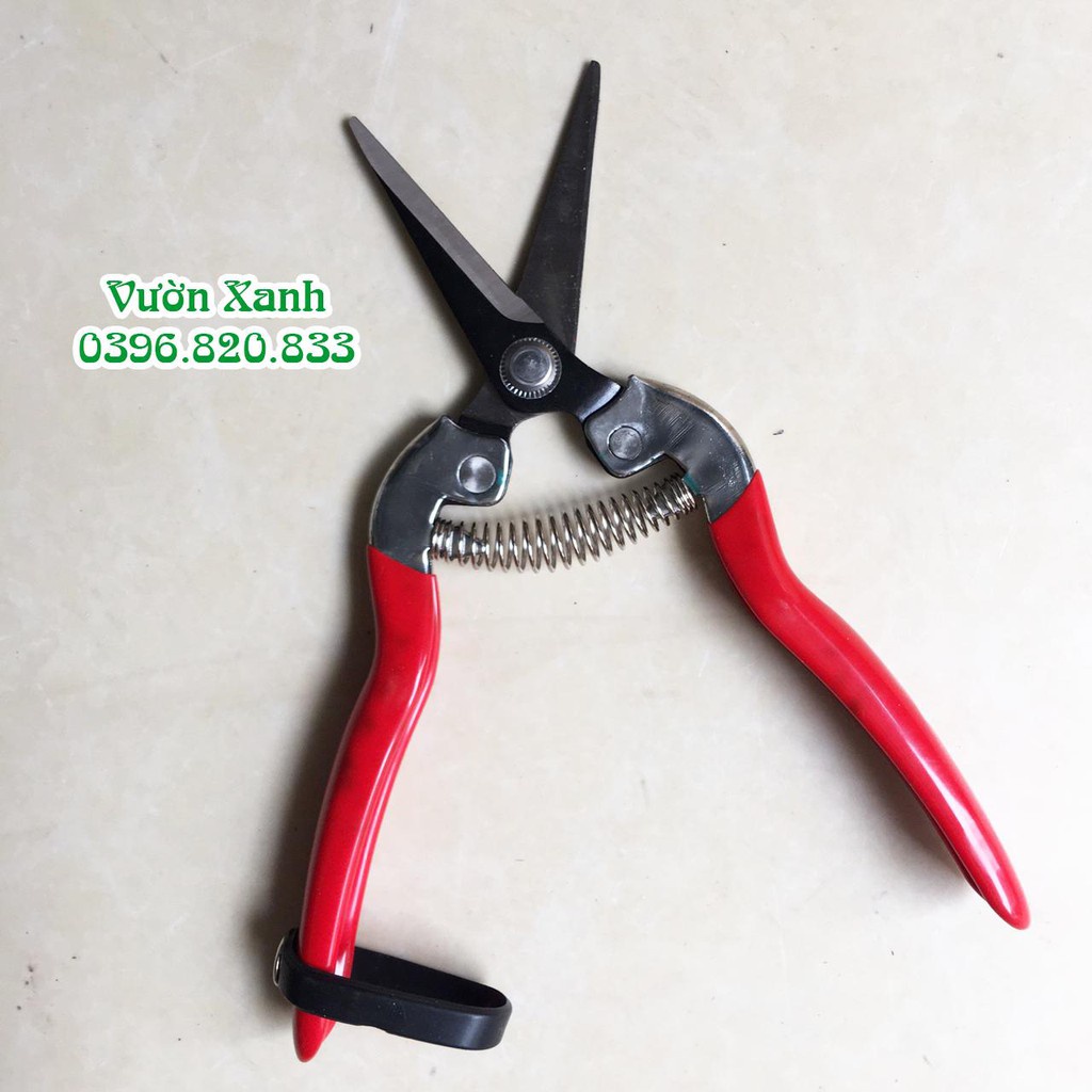 ( HOT HOT ) Kéo tỉa cành dăm, cành hoa, cành nhỏ