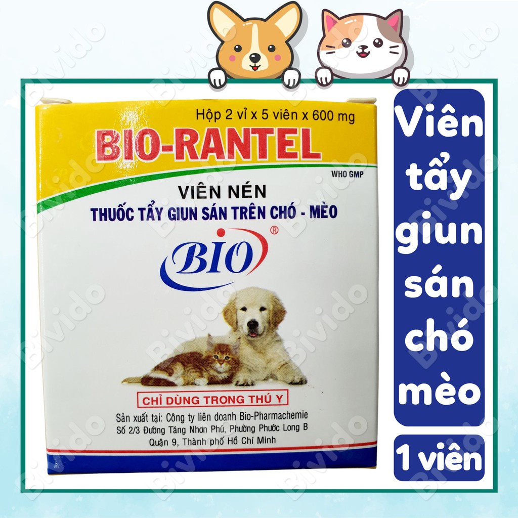 Bio-Dantel hỗ trợ đường ruột thú cưng - Bivido
