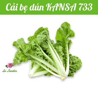 Hạt giống cải bẹ dún kansa 733 gói 20gr - dễ trồng