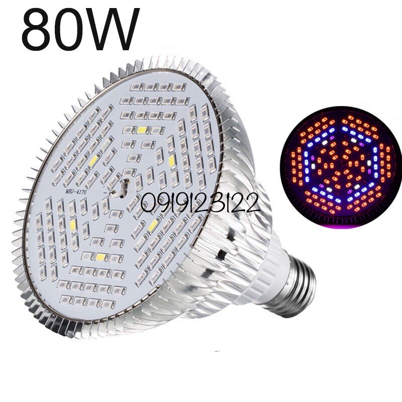 Đèn LED trồng cây, trồng rau trong nhà 80w , E27