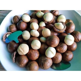 (300GR) NHÂN MACCA DAKLAK (tách vỏ)