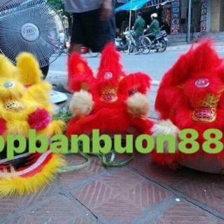 Đầu sư tử lông dài có đèn