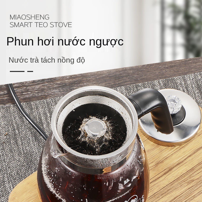 Máy pha trà hoàn toàn tự động, bếp nấu bằng hơi nước, ấm gia dụng loại nhỏ, bộ bình giữ nhiệt thủy tinh dày tích hợp