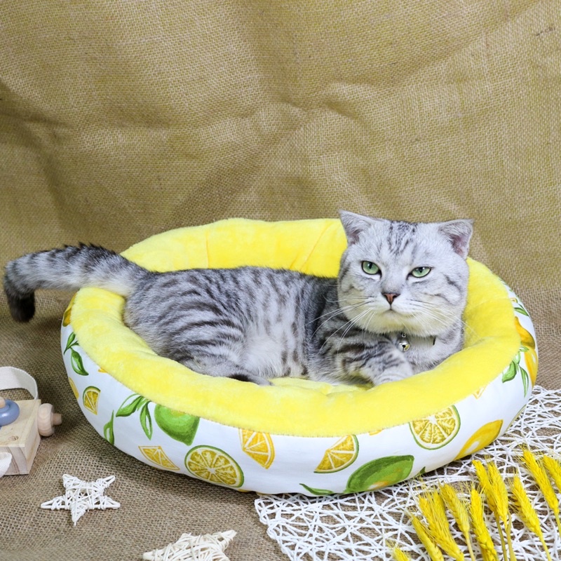 Ổ ĐỆM CHO CHÓ MÈO DỄ THƯƠNG