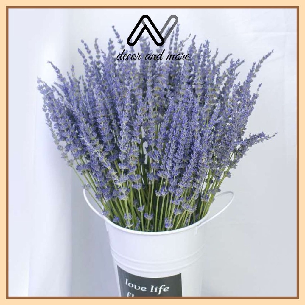 Hoa khô lavender thơm dịu, Hoa oải hương bó 30 cành trang trí decor nhà cửa