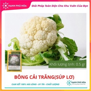 Hạt giống Bông Cải Trắng(Súp Lơ)- 0.5gr- Sen Vàng-Tỉ Lệ Nảy Mầm Cao, Thu Hoạch Quanh Năm, Ăn Ngon Ngọt, Tốt Cho Sức Khỏe