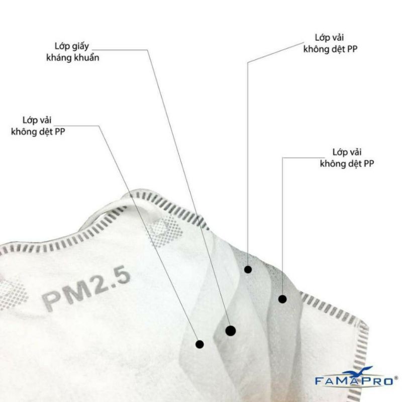 Khẩu trang PM 2.5 FAMAPRO (Tiêu Chuẩn Xuất khẩu BFE ≥95%) COMBO 5 HỘP CÓ 50 CÁI | BigBuy360 - bigbuy360.vn