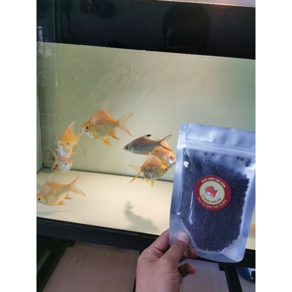 Cám chìm CS4 cho cá két, red parrot protein động vật 44%,500gram