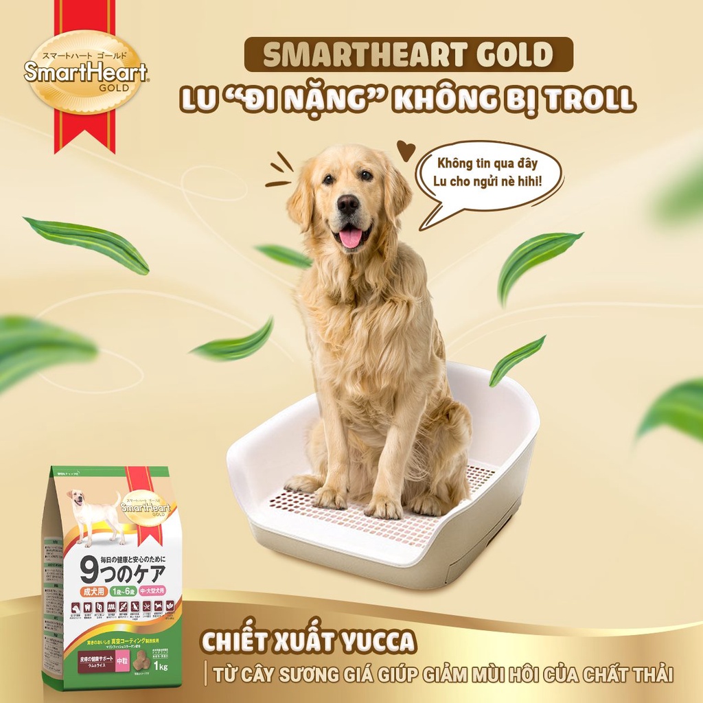 Hạt chó Smart heart Gold 1kg 3kg mọi độ tuổi, giống chó nhỏ lớn cún bầu con Con Mèo Xiêm