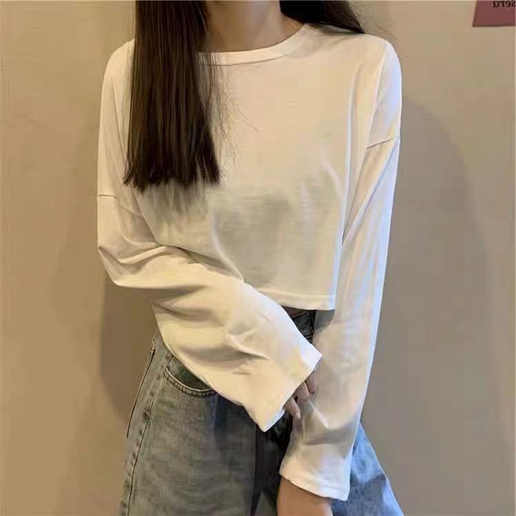 Áo Thun Tay Dài Dáng Rộng Phong Cách Hàn Quốc Áo phông Nữ NZ-TX-374