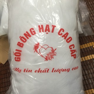 Ruột gối hạt cao cấp 2 chiếc