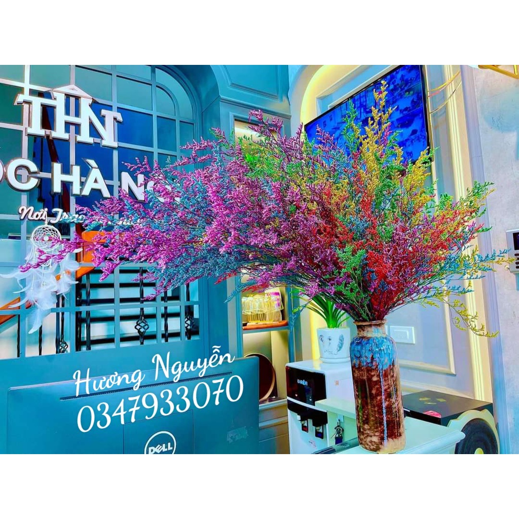 [MUA 1 TẶNG QUÀ] 100gr Bó hoa sao đuôi công, hoa thủy tinh khô decor trang trí nhà cửa