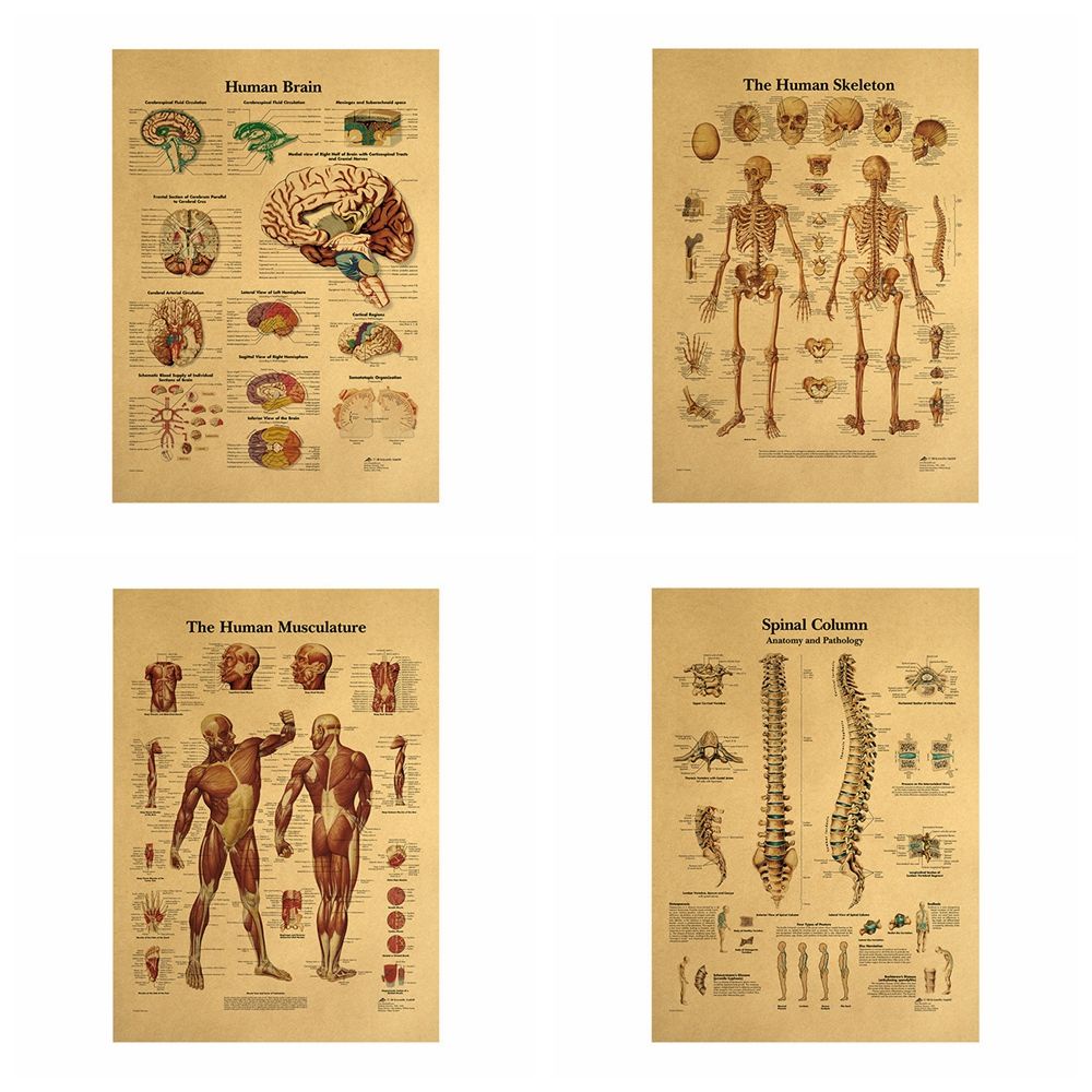 Tranh Giấy Treo Tường Hình Bộ Xương Người Phong Cách Retro 42x30cm