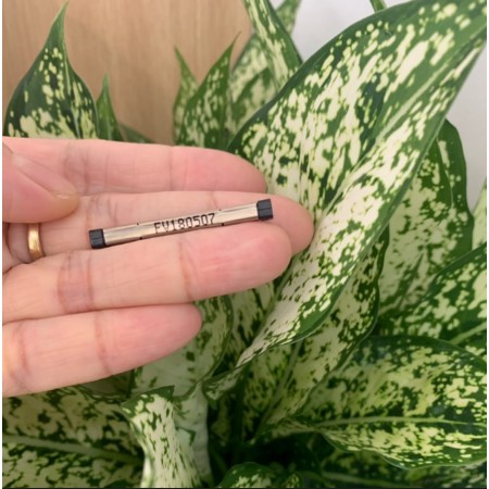 Hộp 50 rệp nối quang Fujikura kèm bàn bấm rệp mini | BigBuy360 - bigbuy360.vn